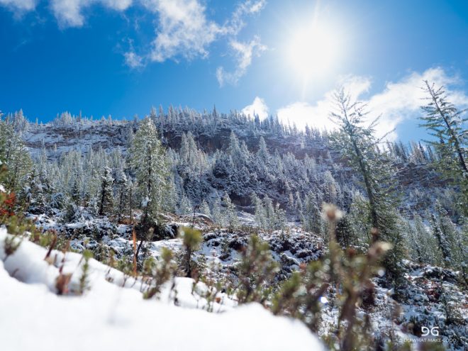 Pacific Crest Trail