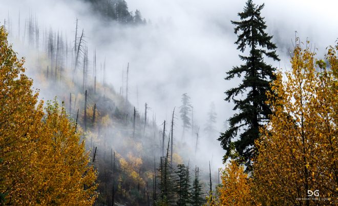 British Columbia
