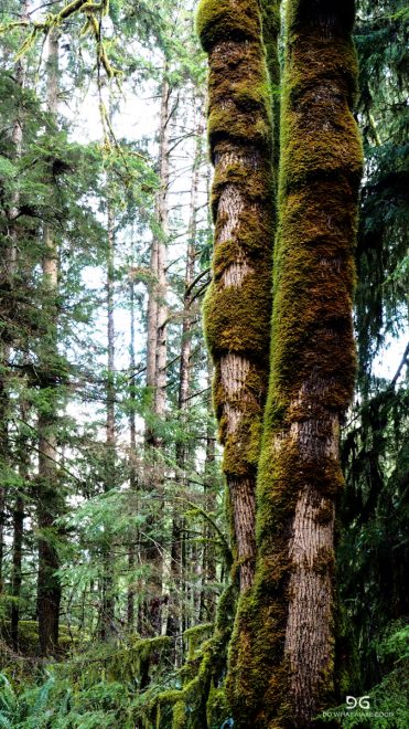 British Columbia