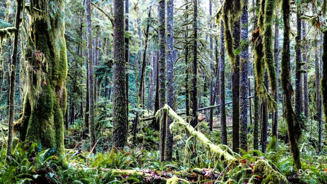 British Columbia