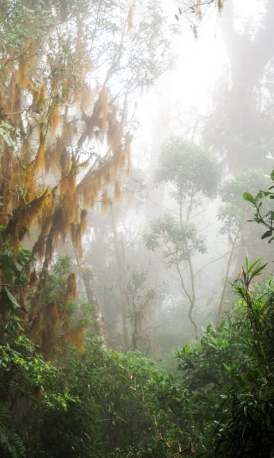 Costa Rica