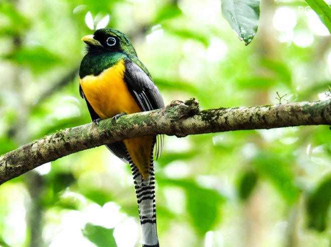 Costa Rica