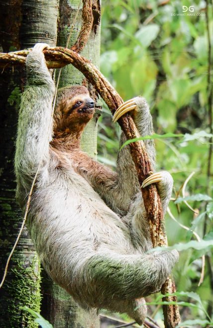 Costa Rica
