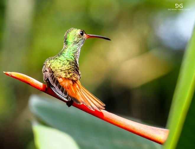 Costa Rica