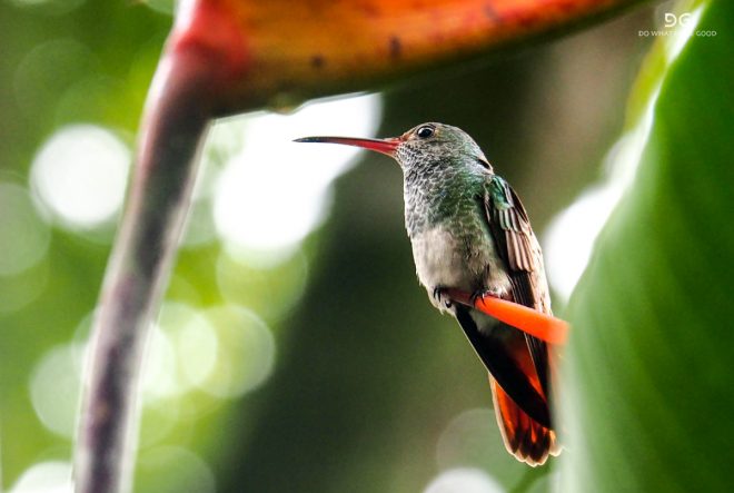 Costa Rica