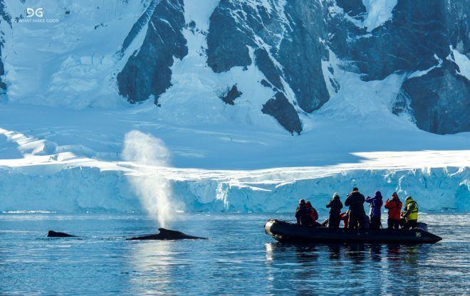 Falkland Islands, South Georgia & Antarctica