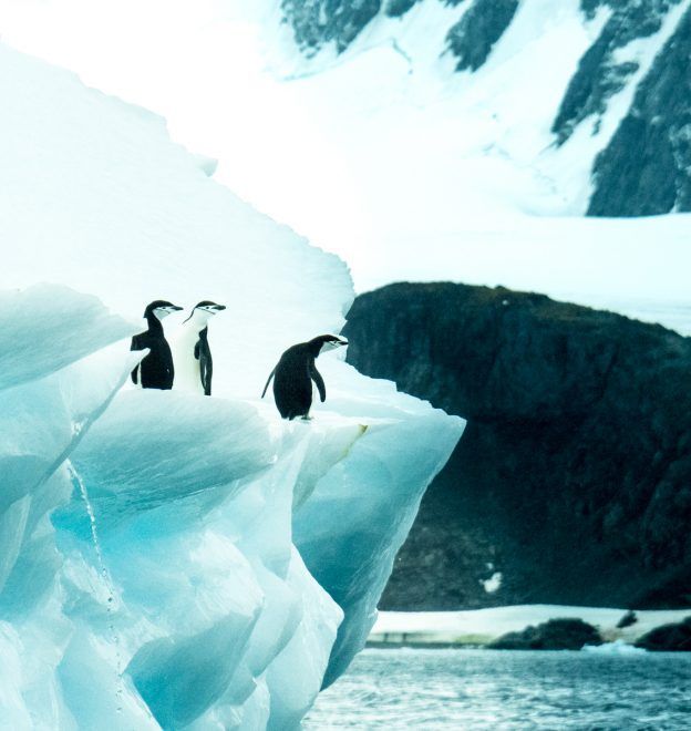 Falkland Islands, South Georgia & Antarctica