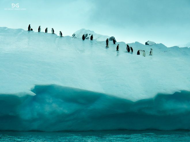 Falkland Islands, South Georgia & Antarctica