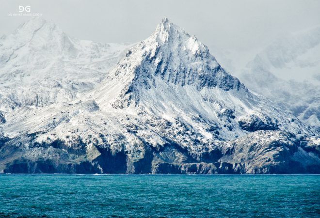 Falkland Islands, South Georgia & Antarctica