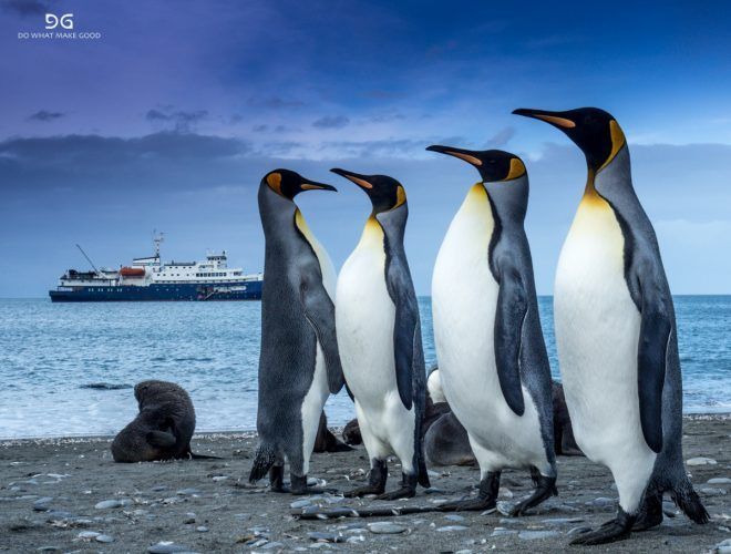 Falkland Islands, South Georgia & Antarctica