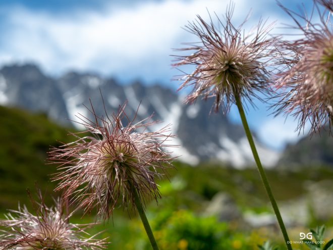 Tour De Mont Blanc