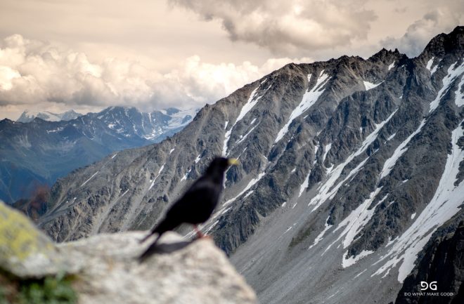 Tour De Mont Blanc
