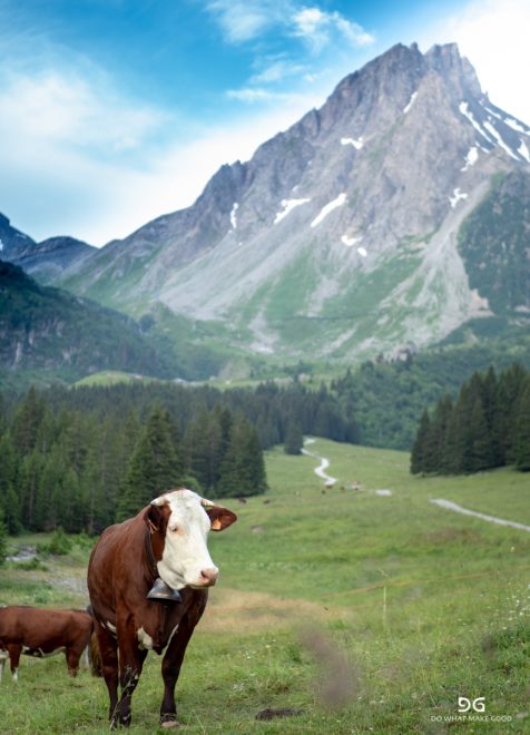 Tour De Mont Blanc