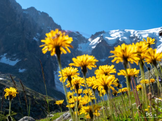Tour De Mont Blanc