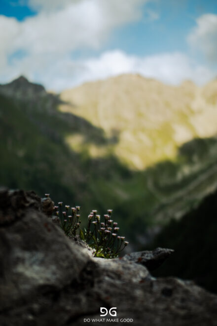 Haute Route – Chamonix to Zermatt