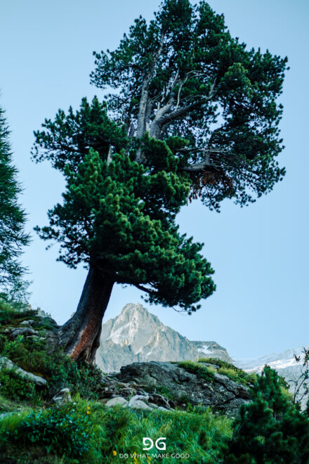 Haute Route – Chamonix to Zermatt