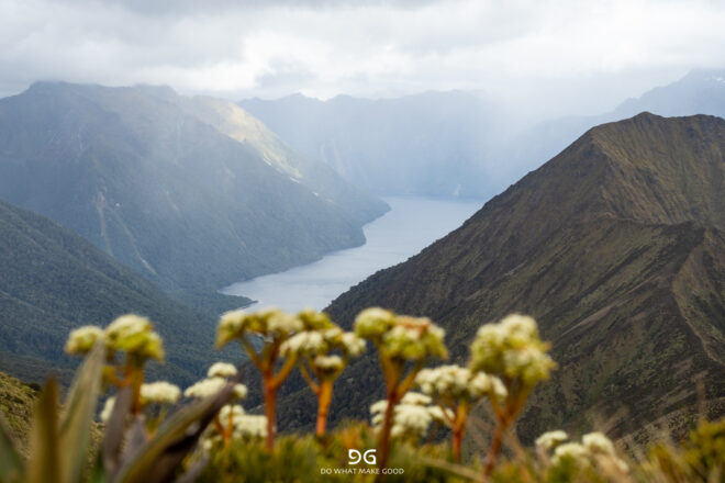 New Zealand 2023